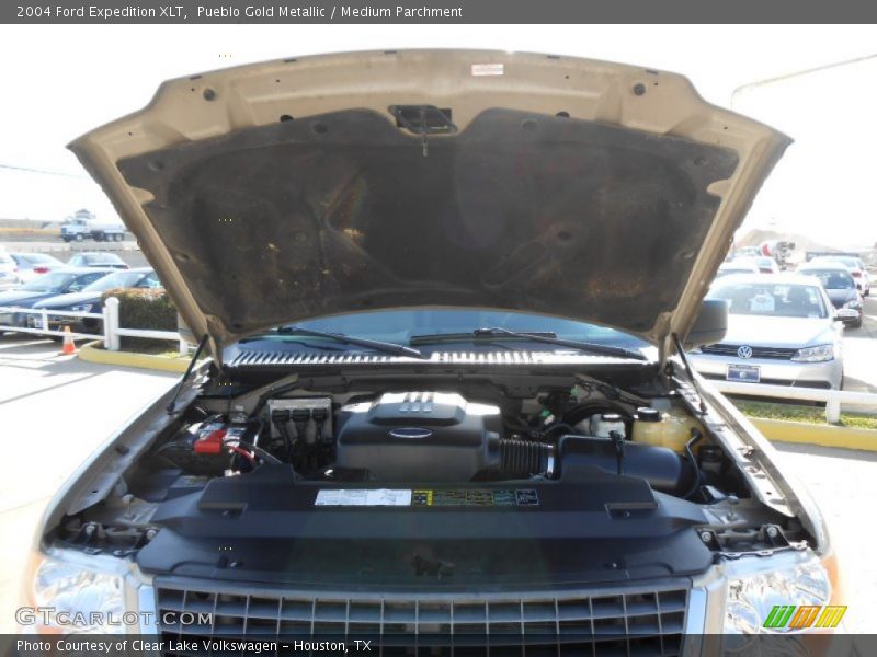 Pueblo Gold Metallic / Medium Parchment 2004 Ford Expedition XLT