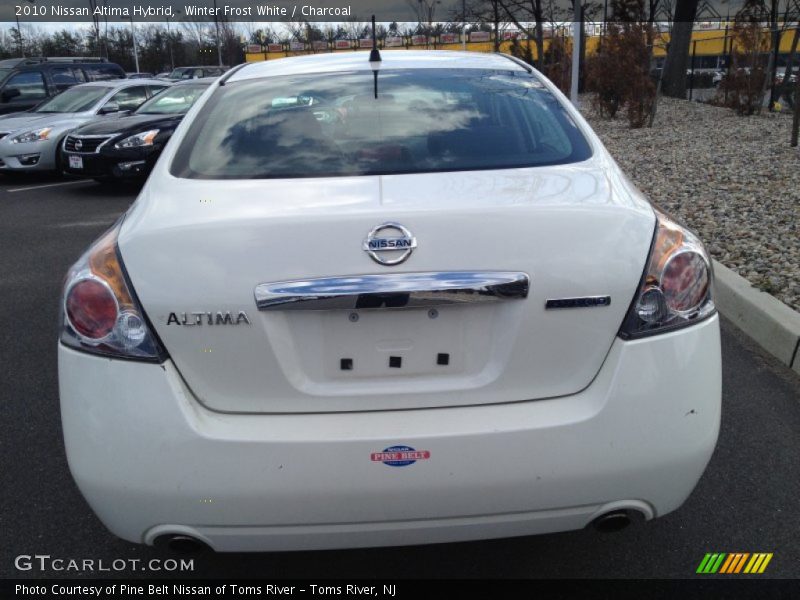 Winter Frost White / Charcoal 2010 Nissan Altima Hybrid