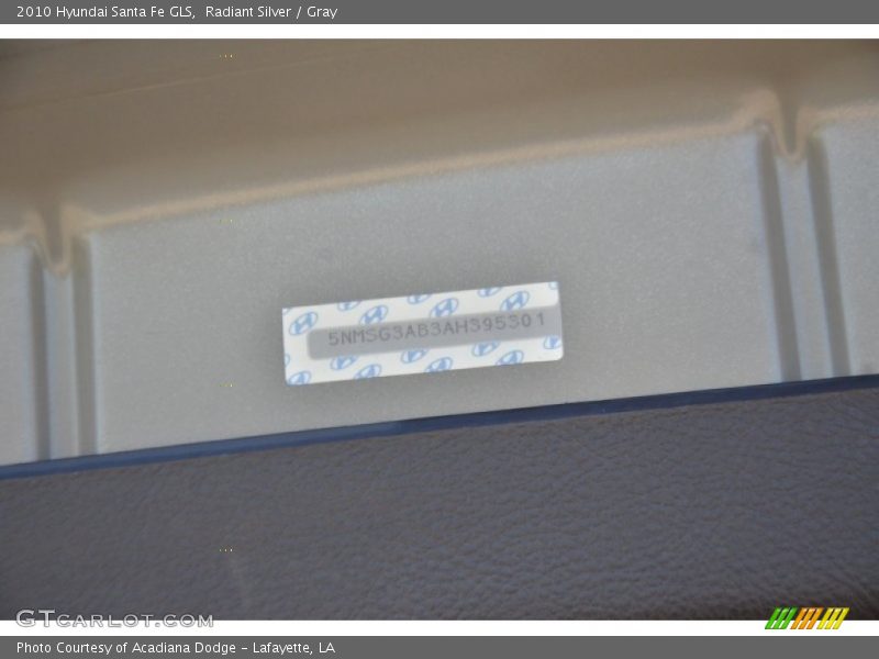Radiant Silver / Gray 2010 Hyundai Santa Fe GLS