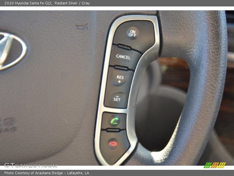 Radiant Silver / Gray 2010 Hyundai Santa Fe GLS