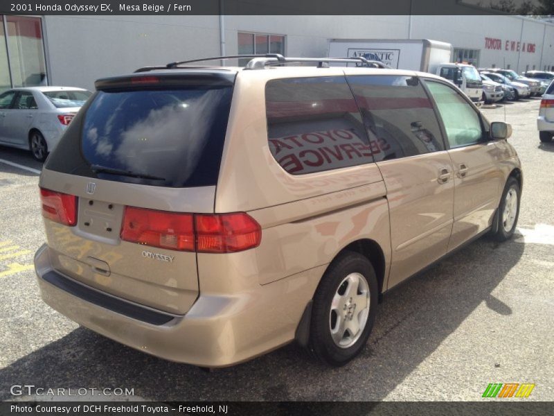 Mesa Beige / Fern 2001 Honda Odyssey EX