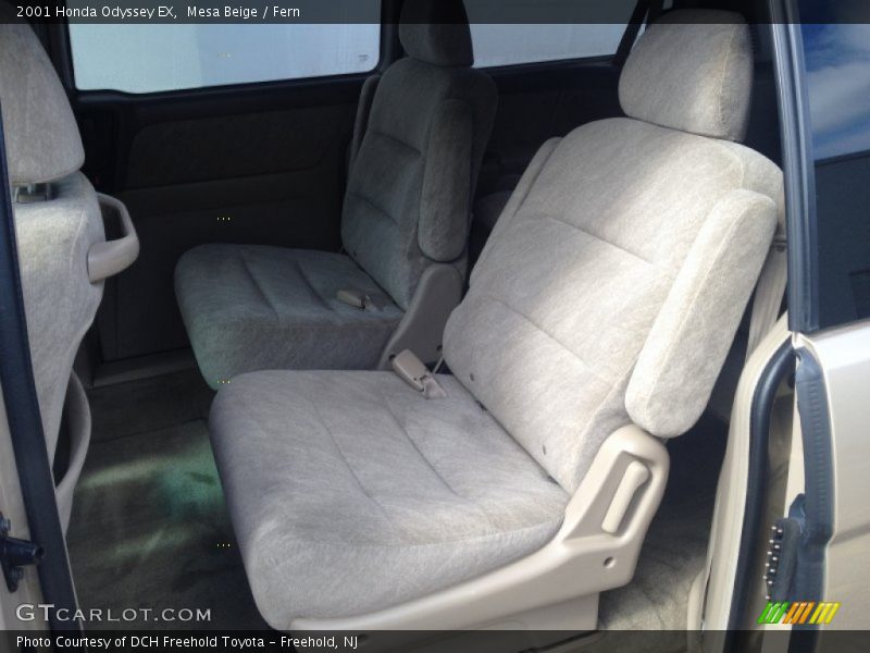 Mesa Beige / Fern 2001 Honda Odyssey EX
