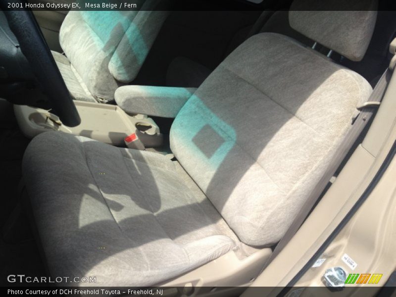 Mesa Beige / Fern 2001 Honda Odyssey EX