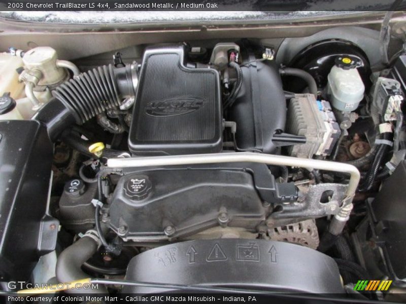 Sandalwood Metallic / Medium Oak 2003 Chevrolet TrailBlazer LS 4x4