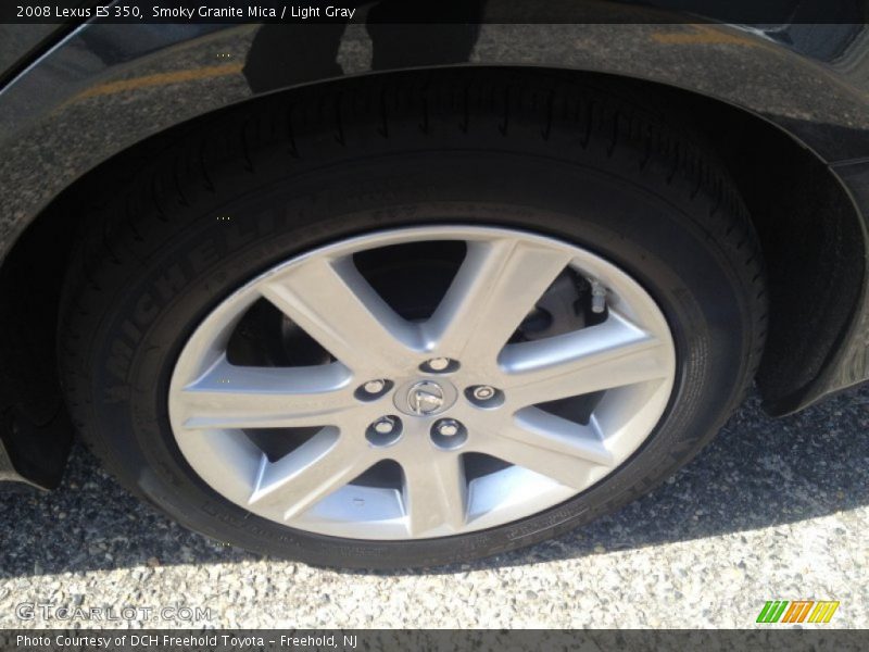Smoky Granite Mica / Light Gray 2008 Lexus ES 350