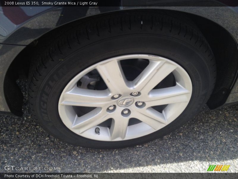 Smoky Granite Mica / Light Gray 2008 Lexus ES 350