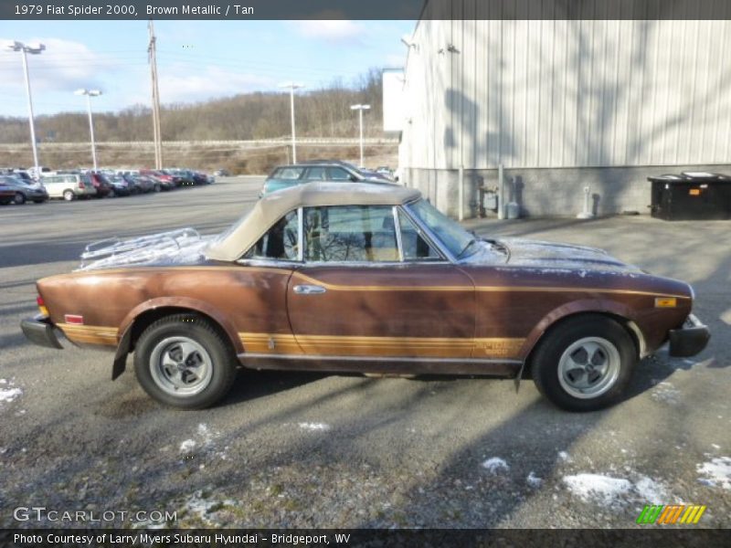  1979 Spider 2000  Brown Metallic