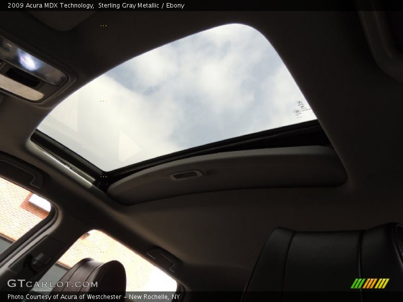 Sterling Gray Metallic / Ebony 2009 Acura MDX Technology