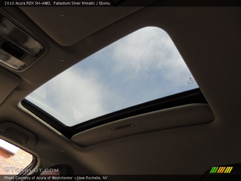 Palladium Silver Metallic / Ebony 2010 Acura RDX SH-AWD