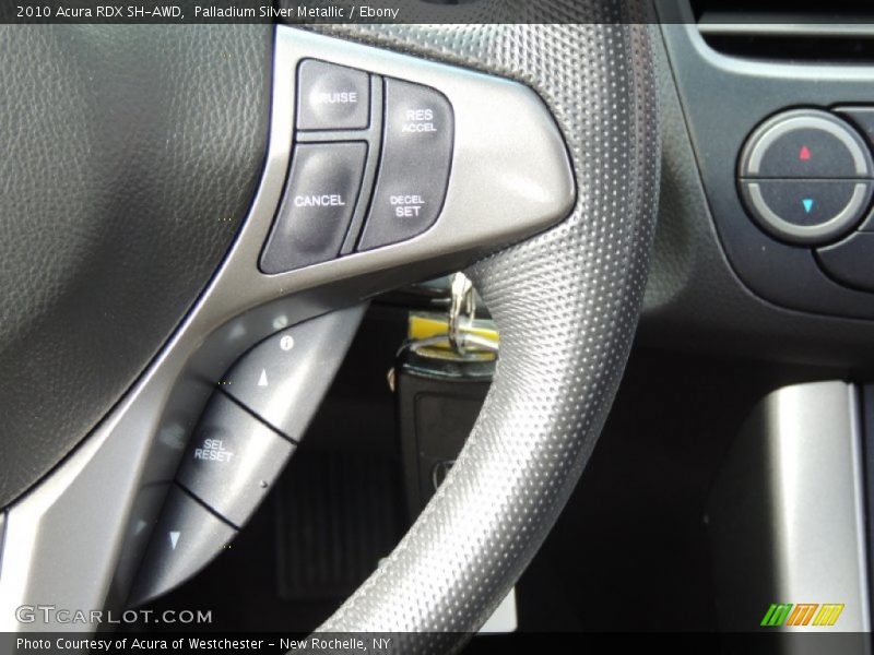 Palladium Silver Metallic / Ebony 2010 Acura RDX SH-AWD