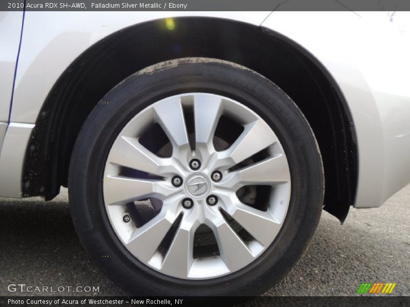 Palladium Silver Metallic / Ebony 2010 Acura RDX SH-AWD