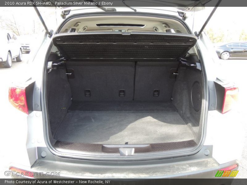 Palladium Silver Metallic / Ebony 2010 Acura RDX SH-AWD