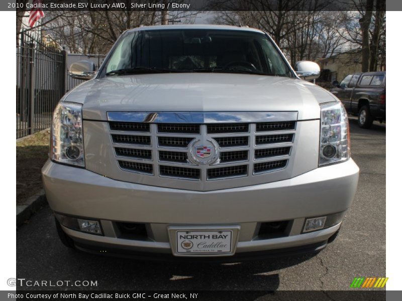 Silver Lining / Ebony 2010 Cadillac Escalade ESV Luxury AWD