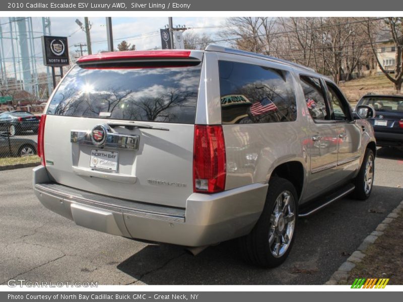 Silver Lining / Ebony 2010 Cadillac Escalade ESV Luxury AWD