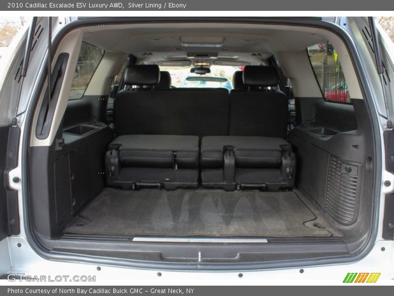 Silver Lining / Ebony 2010 Cadillac Escalade ESV Luxury AWD
