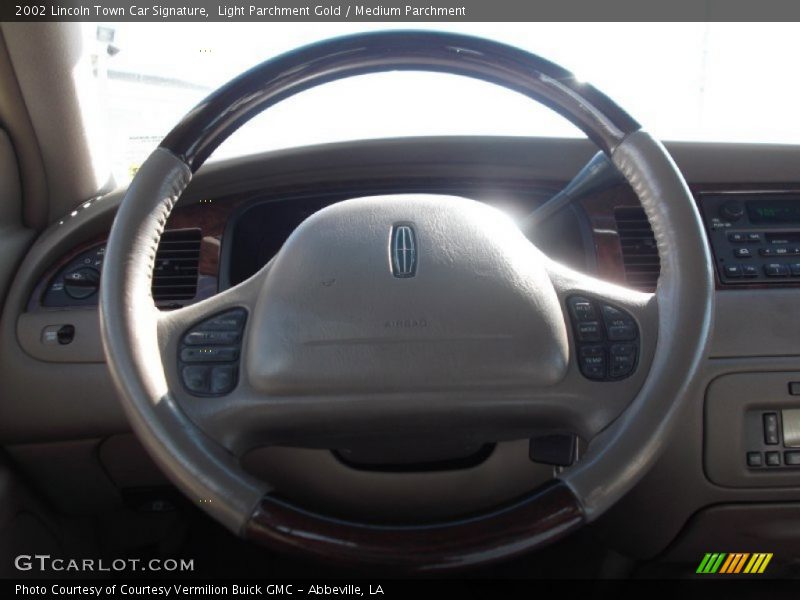 Light Parchment Gold / Medium Parchment 2002 Lincoln Town Car Signature