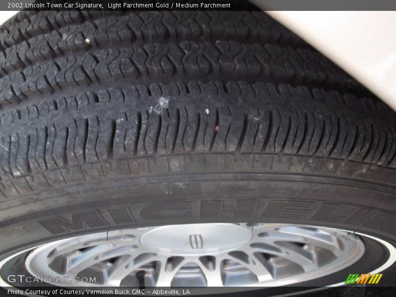 Light Parchment Gold / Medium Parchment 2002 Lincoln Town Car Signature