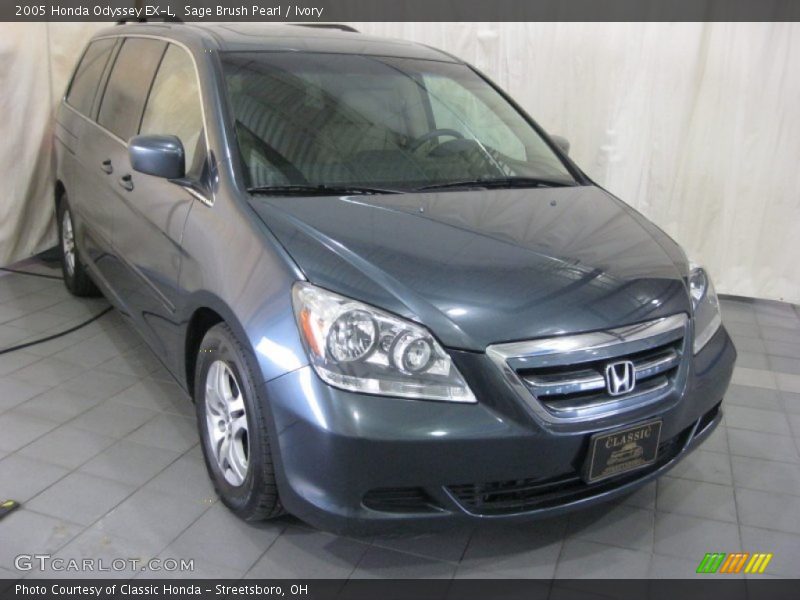 Sage Brush Pearl / Ivory 2005 Honda Odyssey EX-L