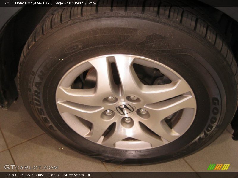 Sage Brush Pearl / Ivory 2005 Honda Odyssey EX-L