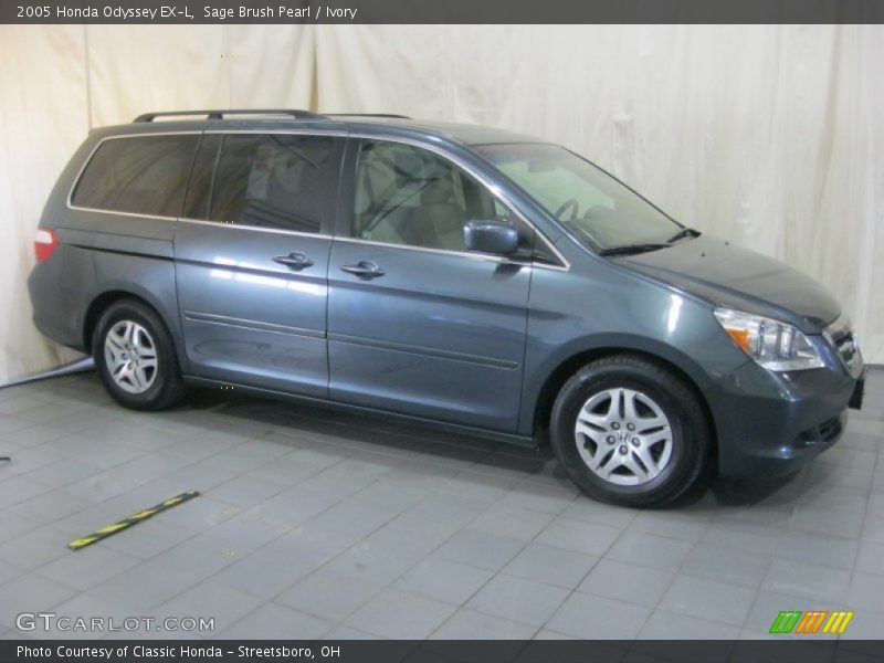 Sage Brush Pearl / Ivory 2005 Honda Odyssey EX-L