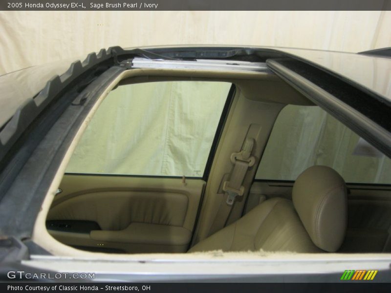 Sage Brush Pearl / Ivory 2005 Honda Odyssey EX-L