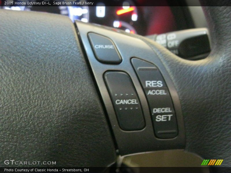 Sage Brush Pearl / Ivory 2005 Honda Odyssey EX-L