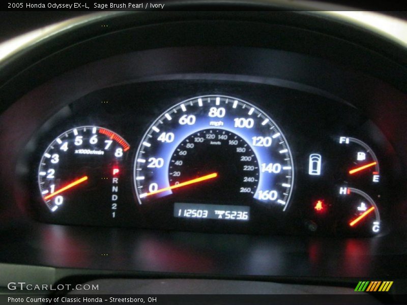 Sage Brush Pearl / Ivory 2005 Honda Odyssey EX-L