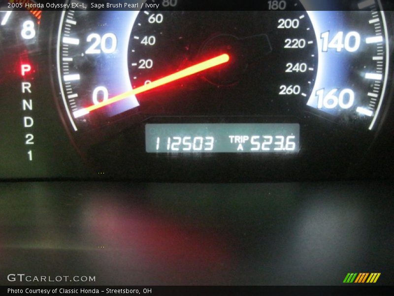 Sage Brush Pearl / Ivory 2005 Honda Odyssey EX-L