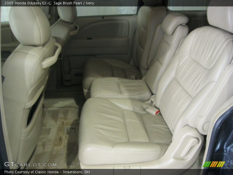 Sage Brush Pearl / Ivory 2005 Honda Odyssey EX-L