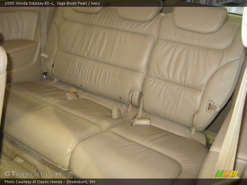 Sage Brush Pearl / Ivory 2005 Honda Odyssey EX-L