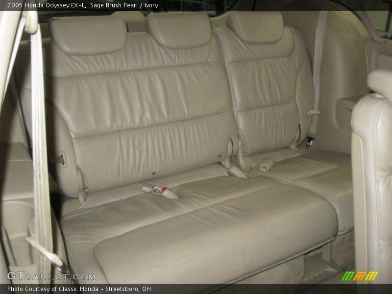 Sage Brush Pearl / Ivory 2005 Honda Odyssey EX-L