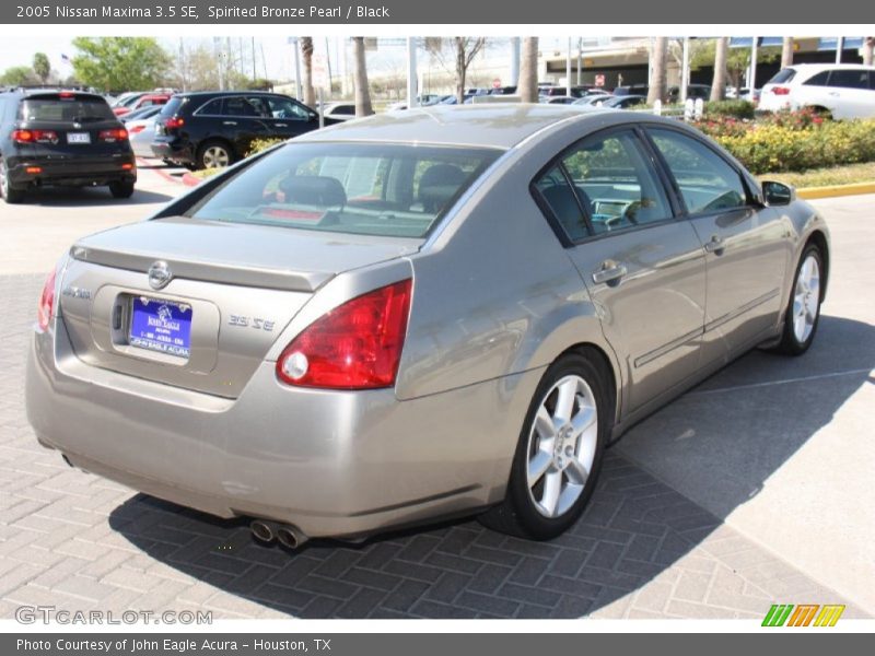 Spirited Bronze Pearl / Black 2005 Nissan Maxima 3.5 SE