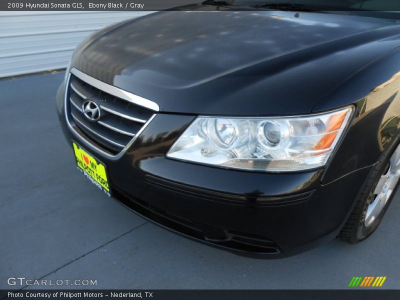 Ebony Black / Gray 2009 Hyundai Sonata GLS