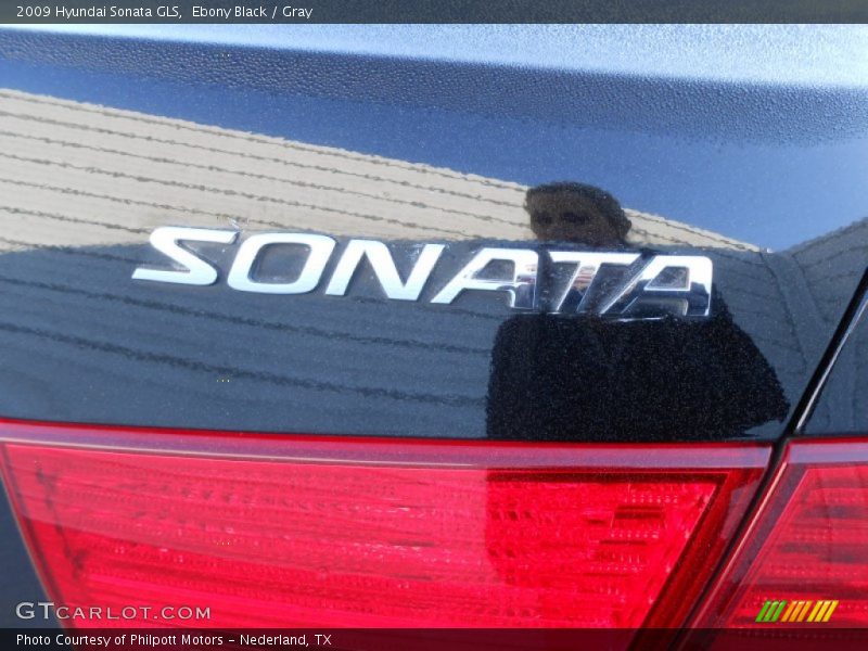 Ebony Black / Gray 2009 Hyundai Sonata GLS