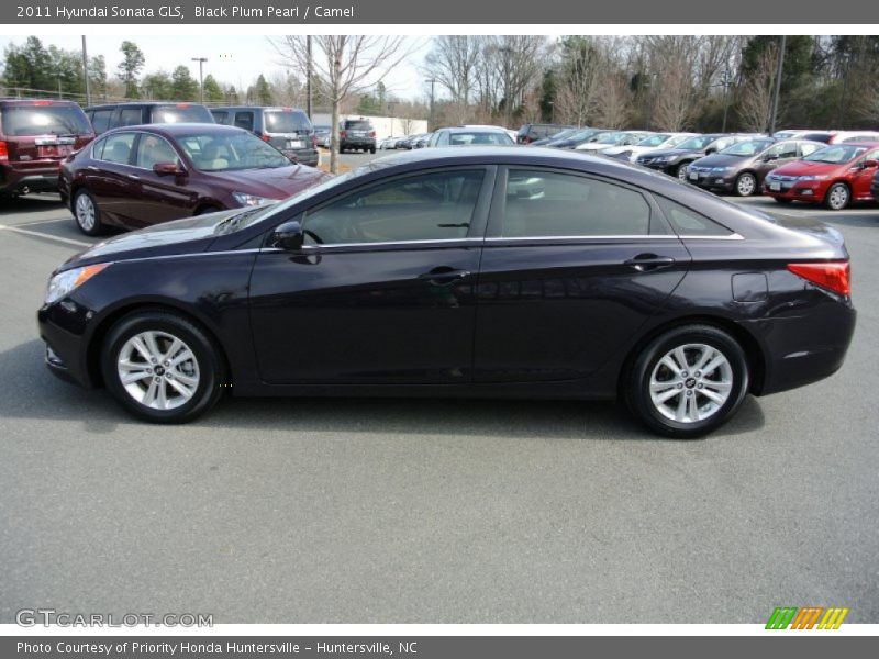 Black Plum Pearl / Camel 2011 Hyundai Sonata GLS