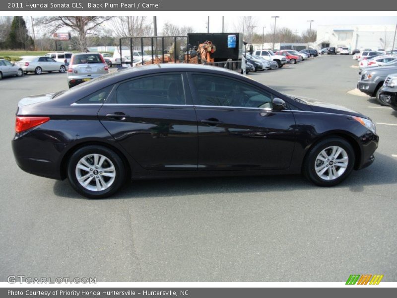 Black Plum Pearl / Camel 2011 Hyundai Sonata GLS