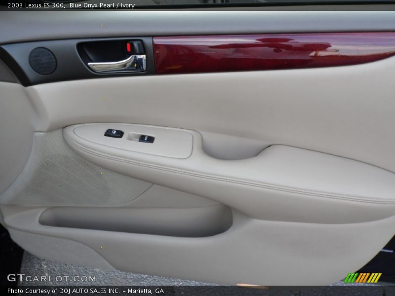Blue Onyx Pearl / Ivory 2003 Lexus ES 300