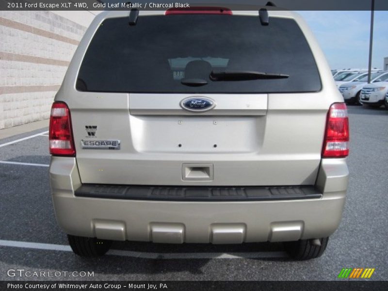 Gold Leaf Metallic / Charcoal Black 2011 Ford Escape XLT 4WD