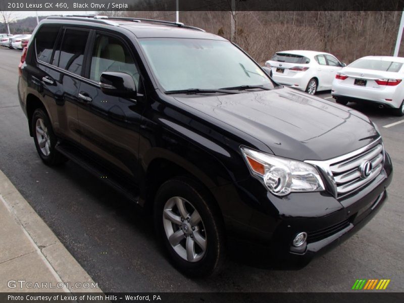 Black Onyx / Sepia 2010 Lexus GX 460