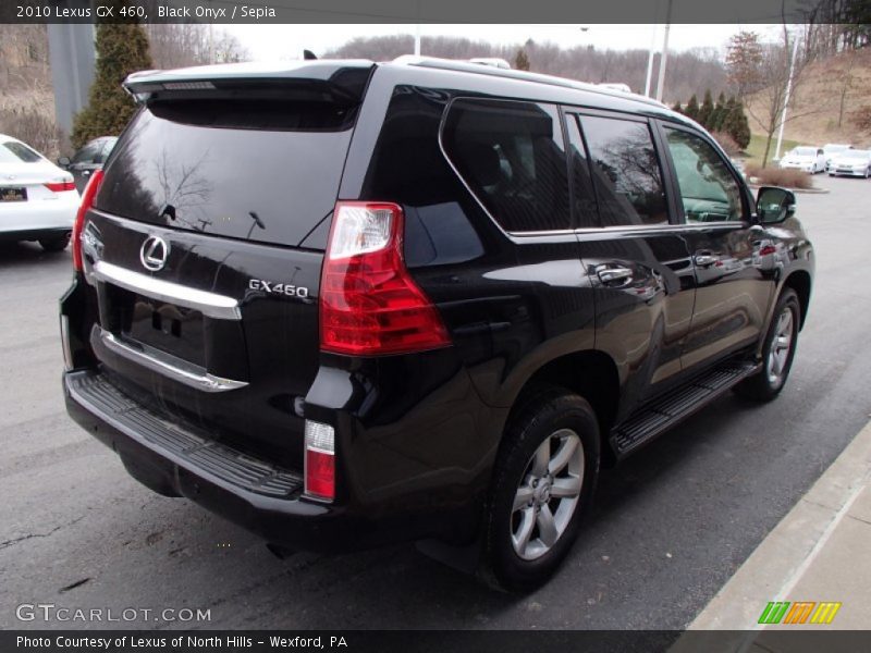 Black Onyx / Sepia 2010 Lexus GX 460