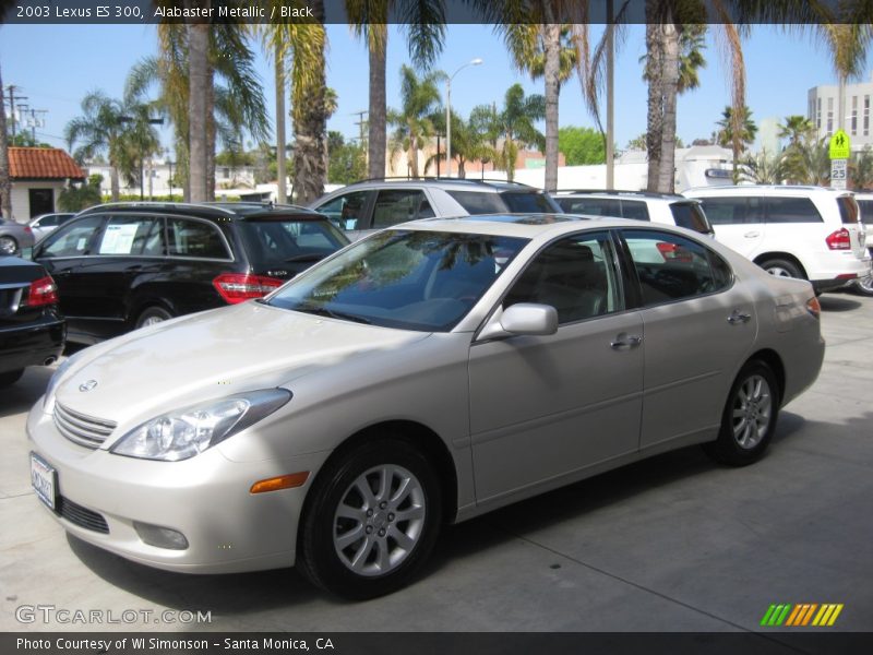 Alabaster Metallic / Black 2003 Lexus ES 300