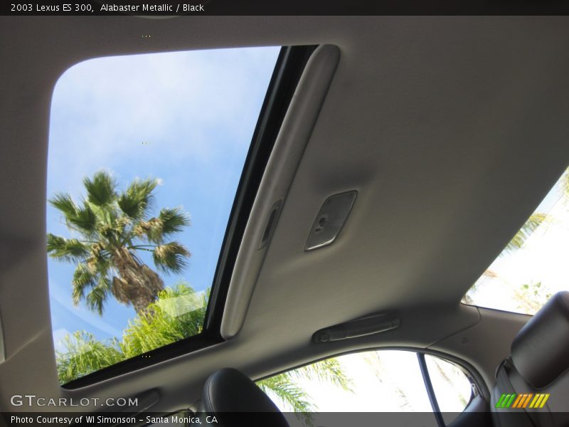 Alabaster Metallic / Black 2003 Lexus ES 300