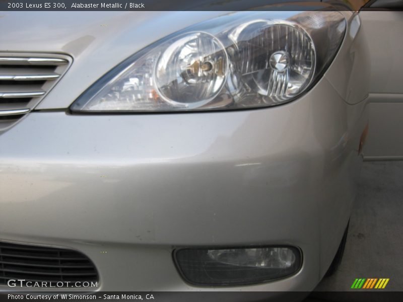 Alabaster Metallic / Black 2003 Lexus ES 300