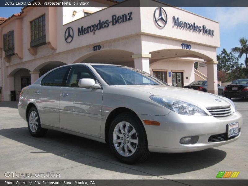 Alabaster Metallic / Black 2003 Lexus ES 300