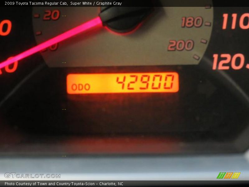 Super White / Graphite Gray 2009 Toyota Tacoma Regular Cab