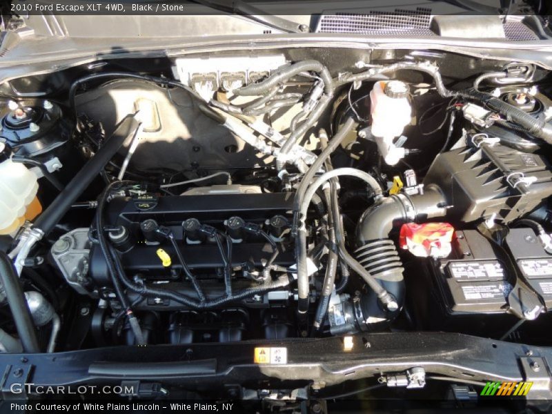 Black / Stone 2010 Ford Escape XLT 4WD