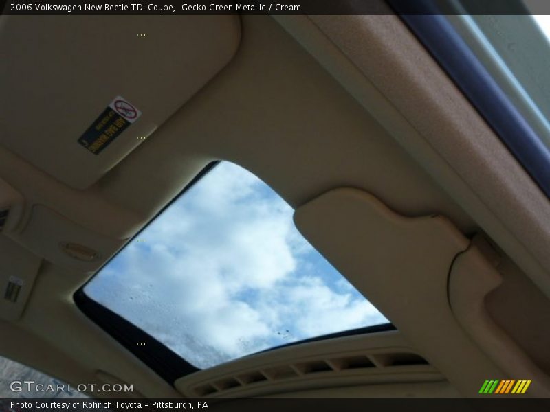 Gecko Green Metallic / Cream 2006 Volkswagen New Beetle TDI Coupe