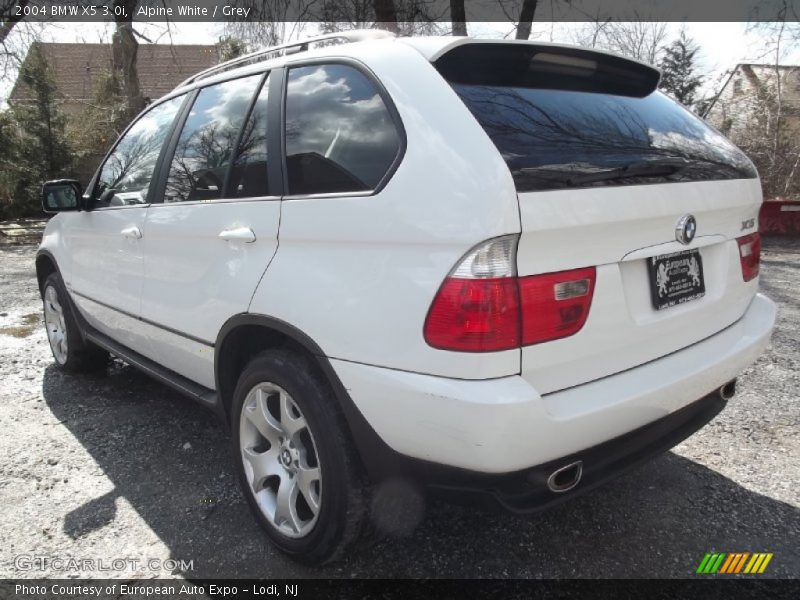 Alpine White / Grey 2004 BMW X5 3.0i