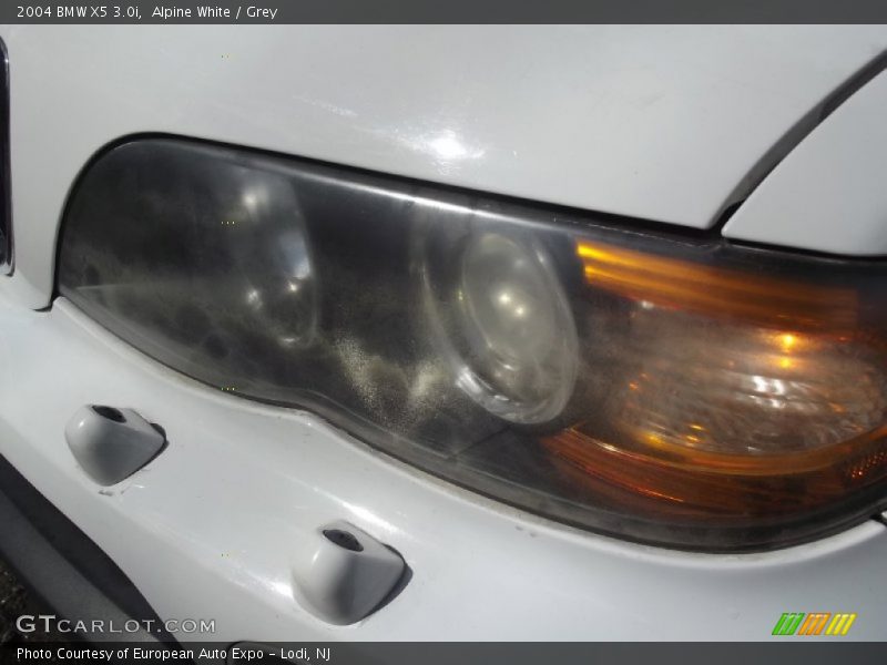 Alpine White / Grey 2004 BMW X5 3.0i
