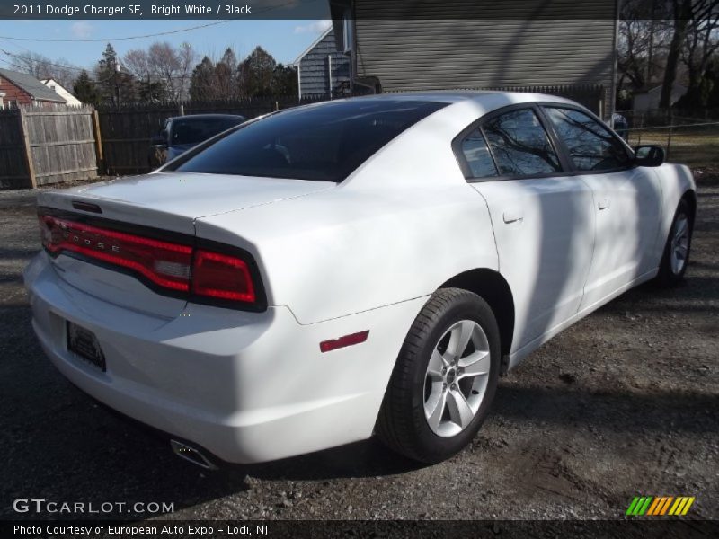Bright White / Black 2011 Dodge Charger SE
